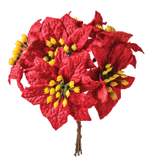 Perityligmatos150610