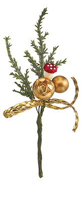 Perityligmatos 07 202503402