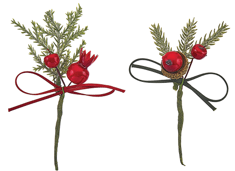 Perityligmatos 07 2025034083