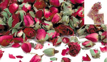 aaa0516181 w445h261f