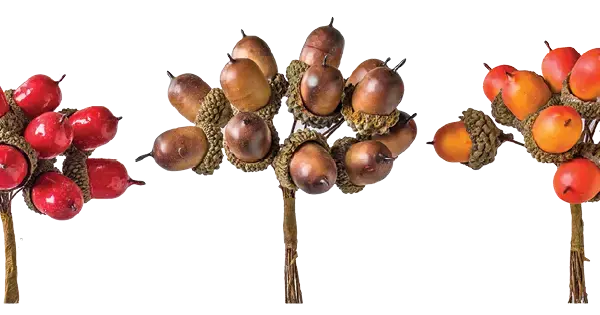Perityligmatos150549